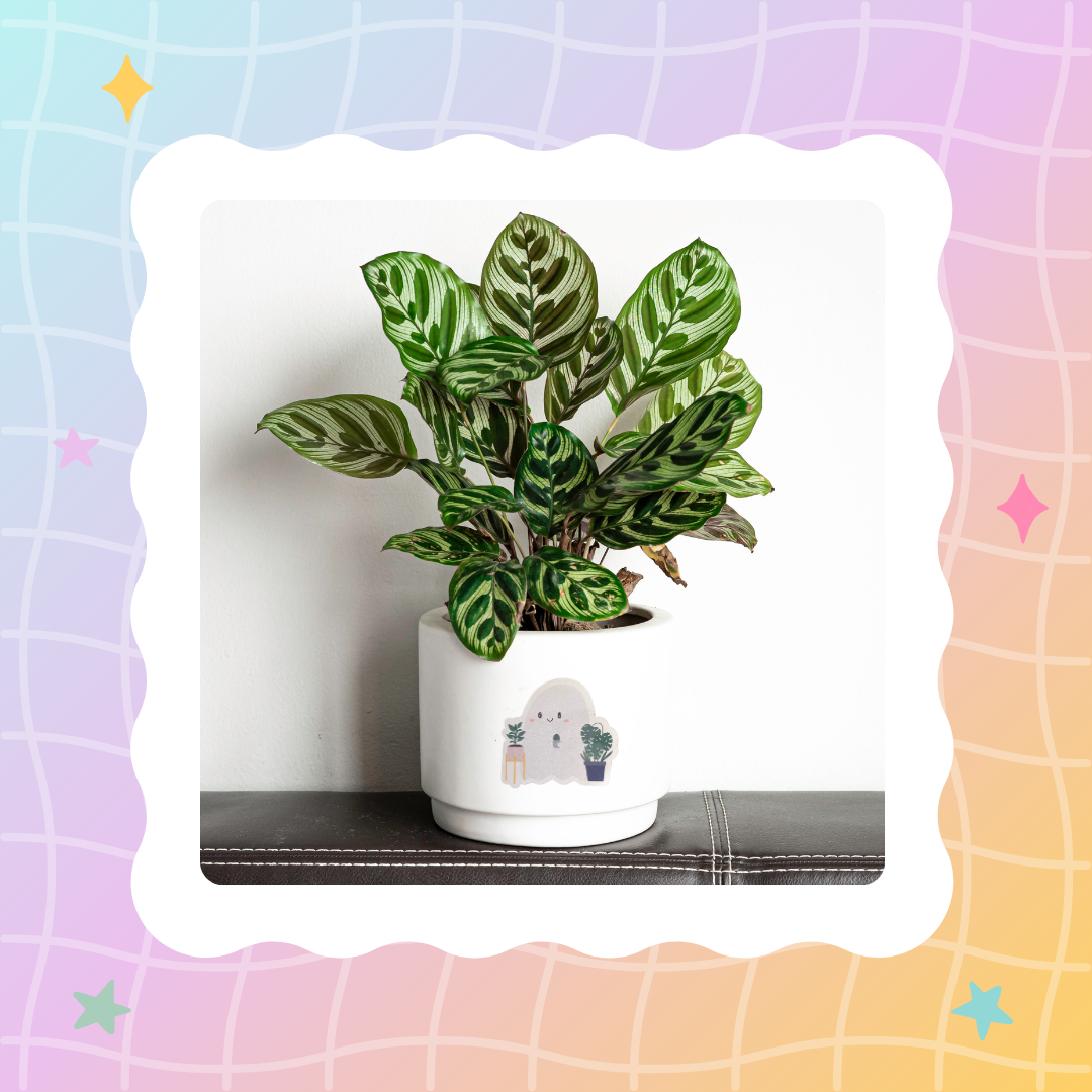 Plant Ghostie Sticker